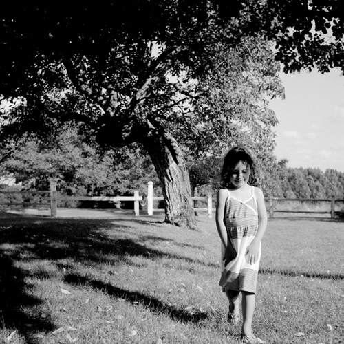 L'arbre aux secrets