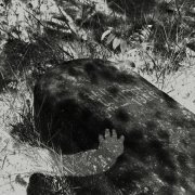 Il y a quelques années, la communauté arménienne demanda à la ville l'autorisation de construire un bâtiment dans l'enceinte du cimetière arménien pour accueillir les défunts et leurs familles. La ville donna son accord, mais sous la pression de la population, ils firent détruire l'édifice en cours de construction. En 2007, l'assassinat par cinq jeunes nationalistes de trois chrétiens, dont un missionnaire allemand, a ravivé les tensions. Les crimes envers les chrétiens et autres minorités sont généralement classés sans suite, et leurs auteurs impunis. 